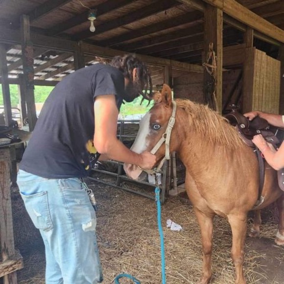 Meet your Posher, Kevin - Picture 1 of 1